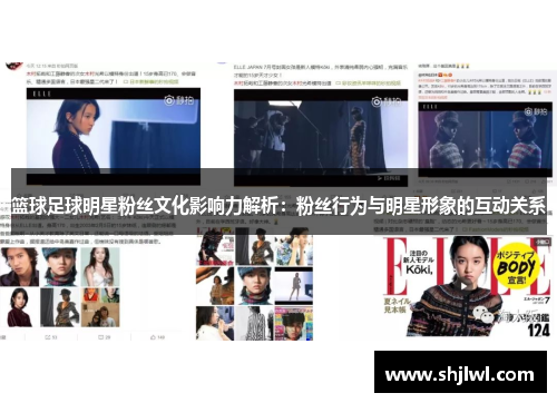 篮球足球明星粉丝文化影响力解析：粉丝行为与明星形象的互动关系