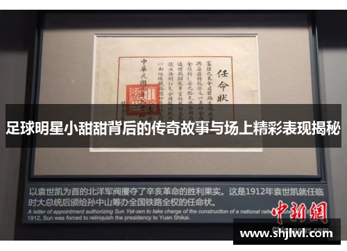 足球明星小甜甜背后的传奇故事与场上精彩表现揭秘