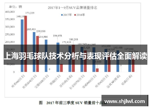 上海羽毛球队技术分析与表现评估全面解读
