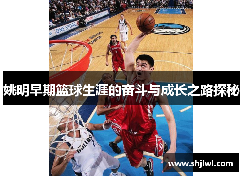 姚明早期篮球生涯的奋斗与成长之路探秘